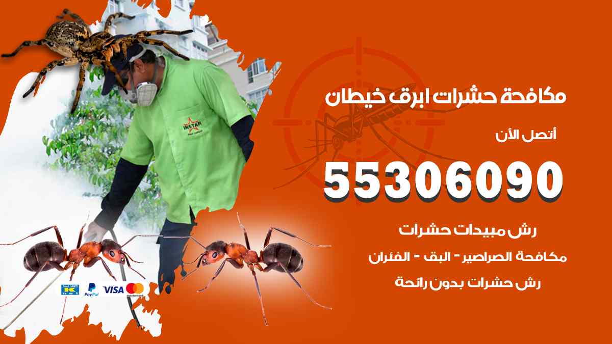 شركة مكافحة حشرات وقوارض في أبرق خيطان