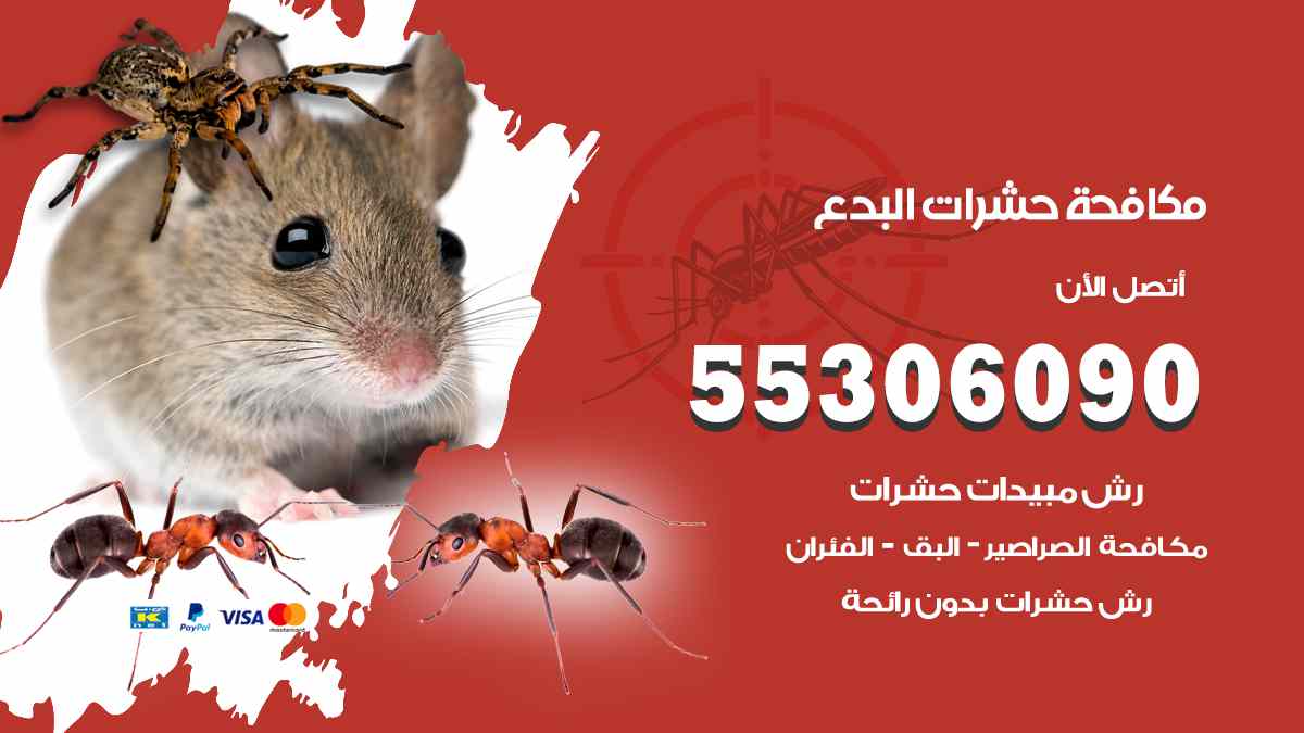 شركة مكافحة حشرات وقوارض في البدع