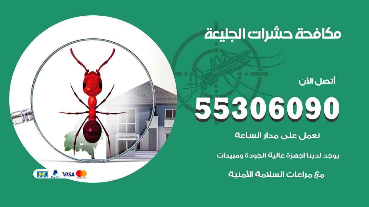 شركة مكافحة حشرات وقوارض في الجليعة