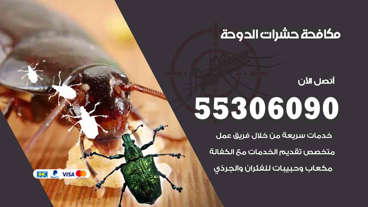 شركة مكافحة حشرات وقوارض في الدوحة
