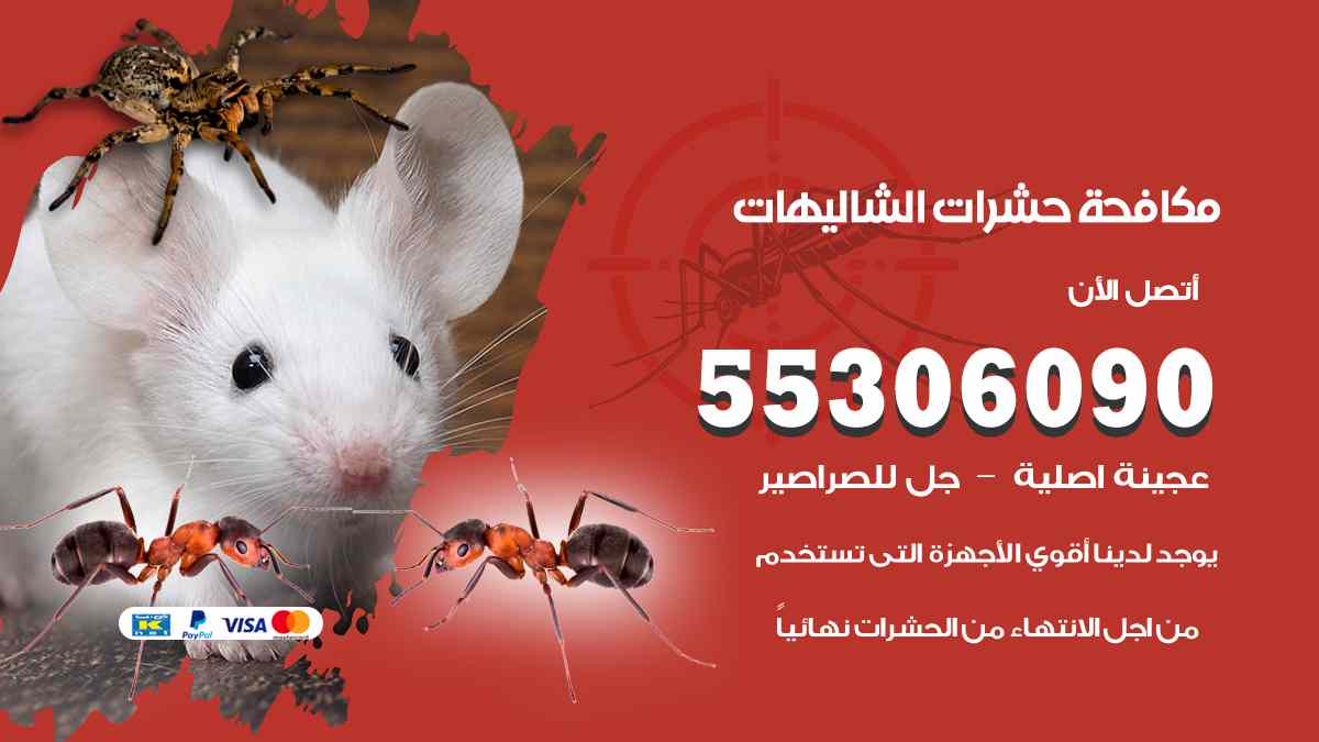 شركة مكافحة حشرات وقوارض في الشاليهات