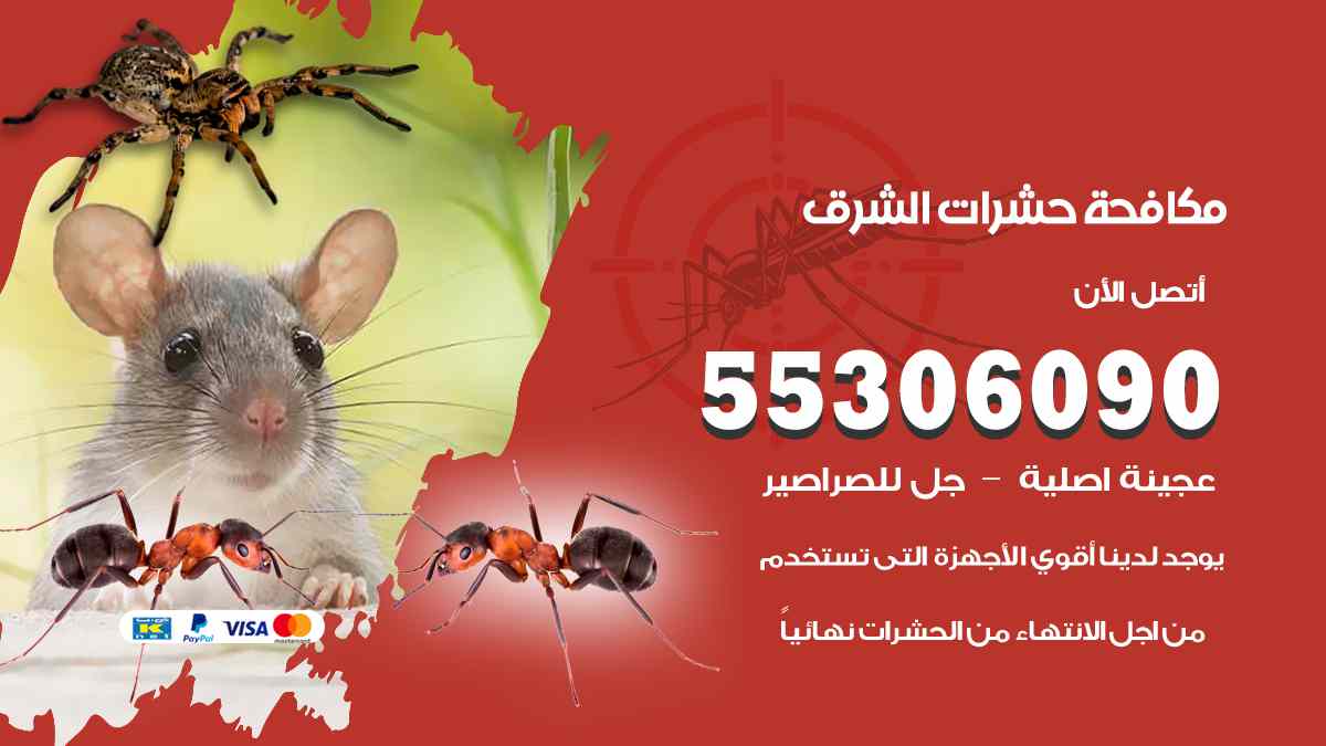 شركة مكافحة حشرات وقوارض في الشرق