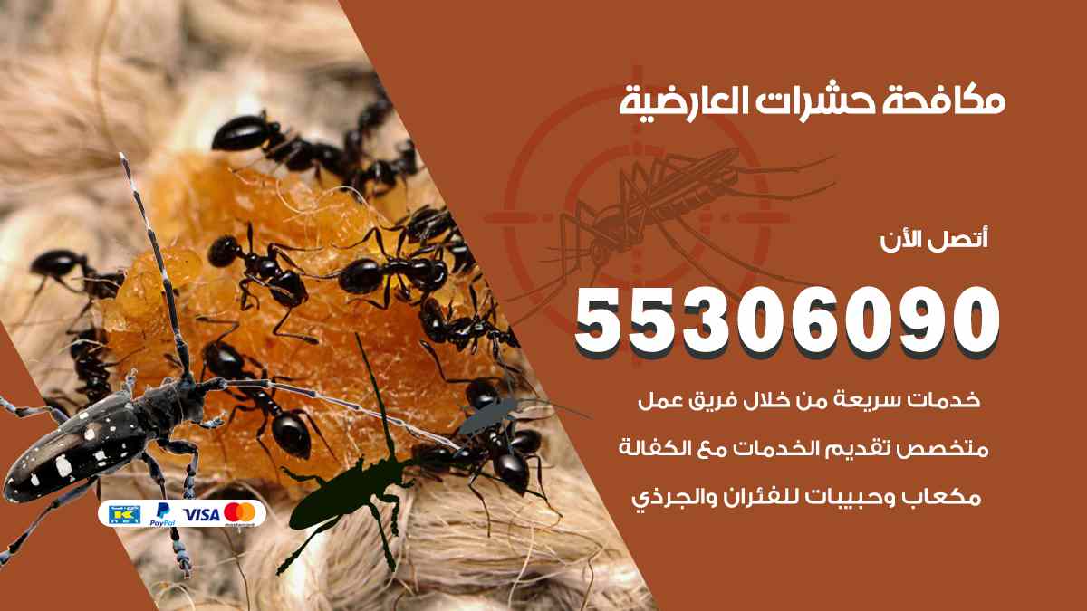 شركة مكافحة حشرات وقوارض في العارضية