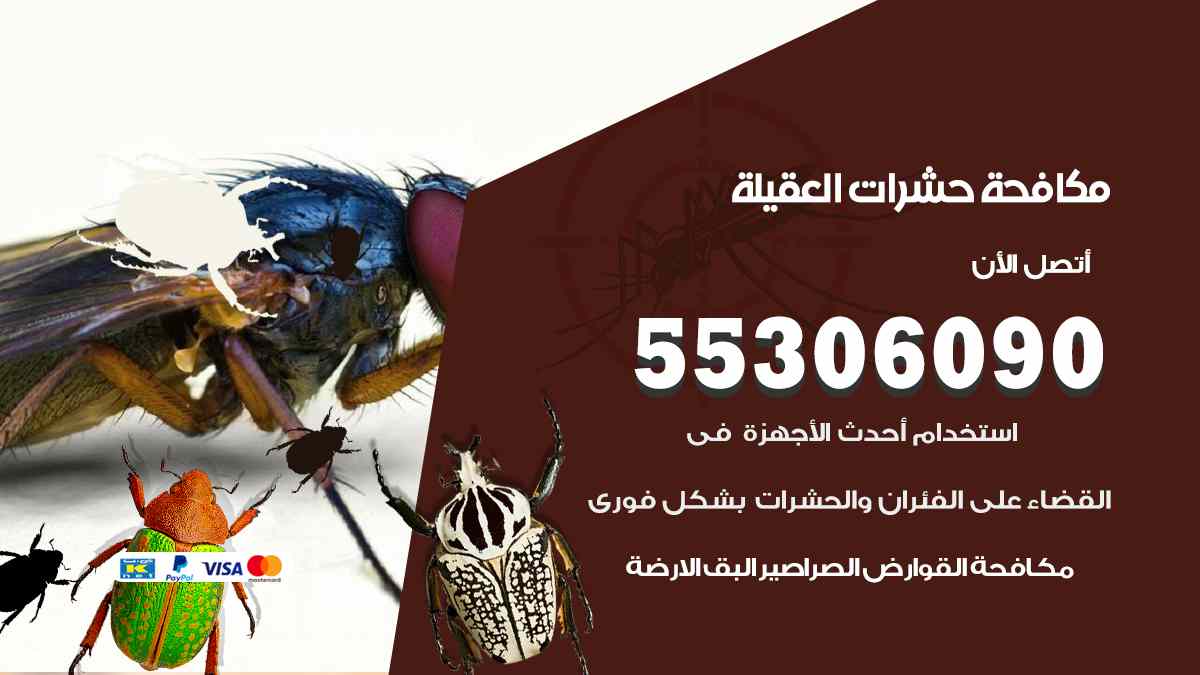 شركة مكافحة حشرات وقوارض في العقيلة