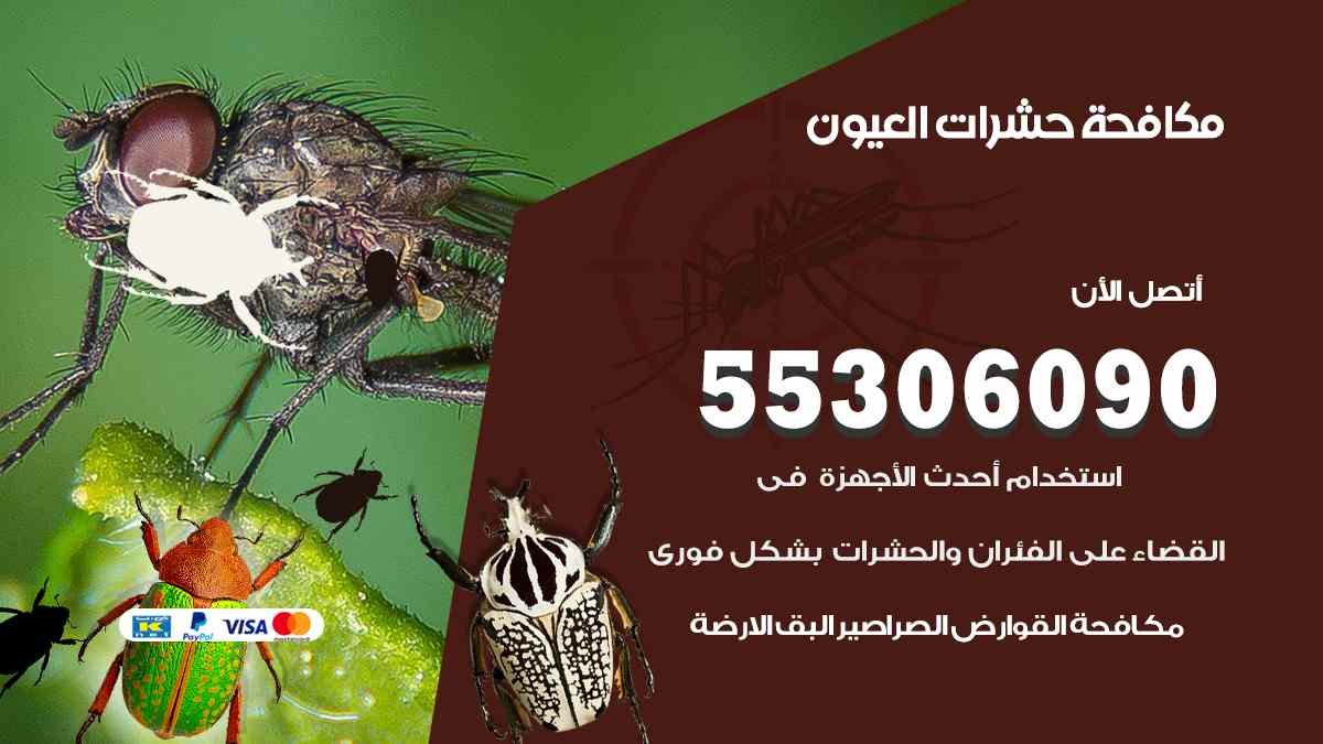 شركة مكافحة حشرات وقوارض في العيون