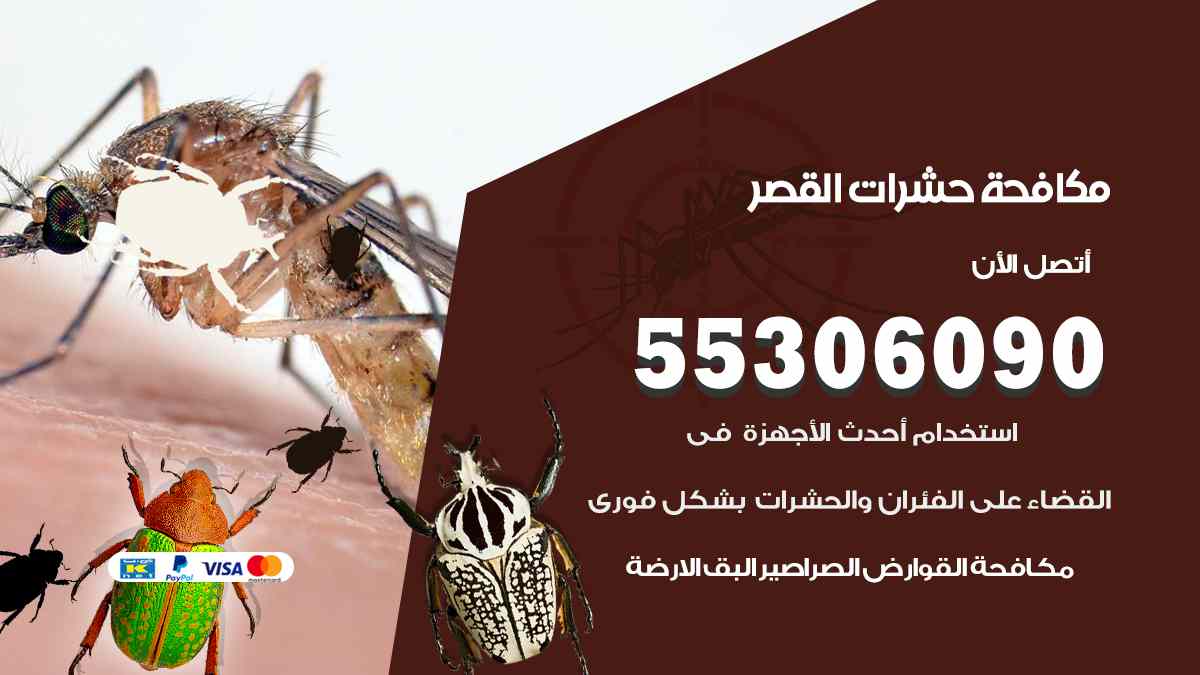 شركة مكافحة حشرات وقوارض في القصر
