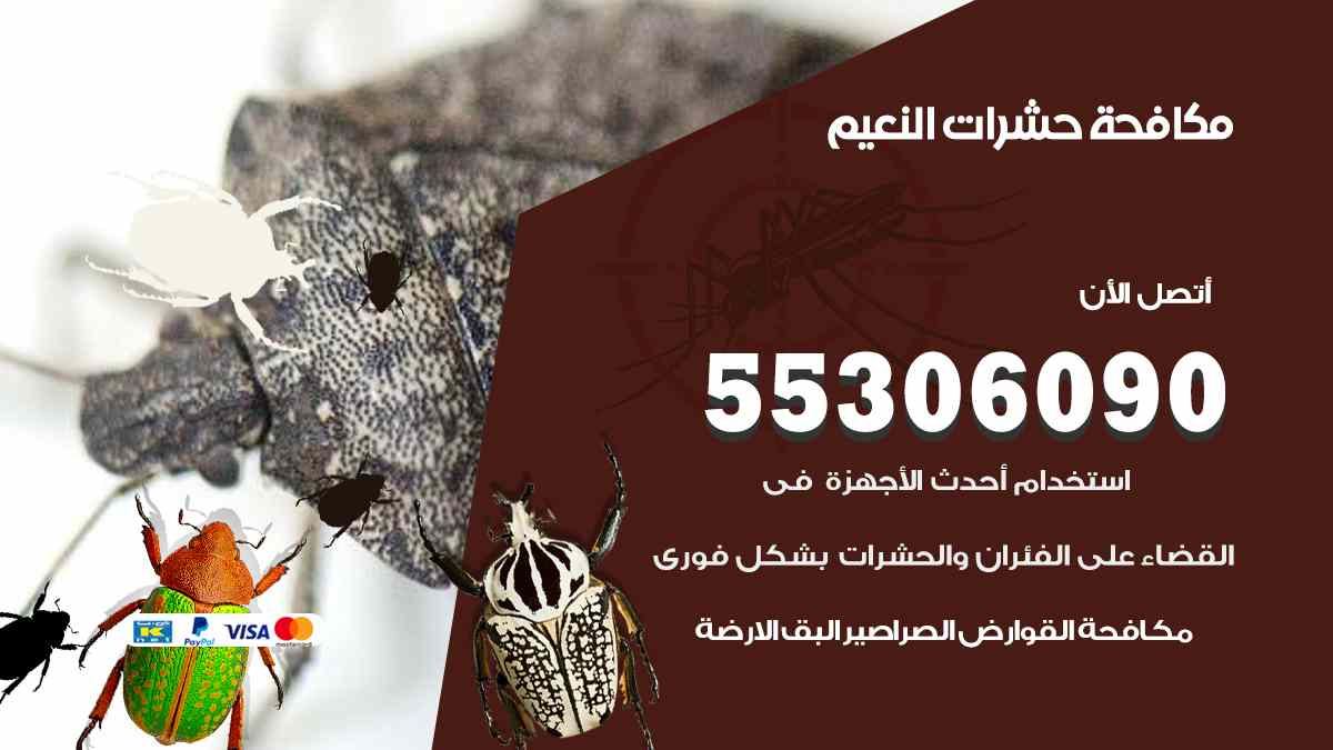 شركة مكافحة حشرات وقوارض في النعيم