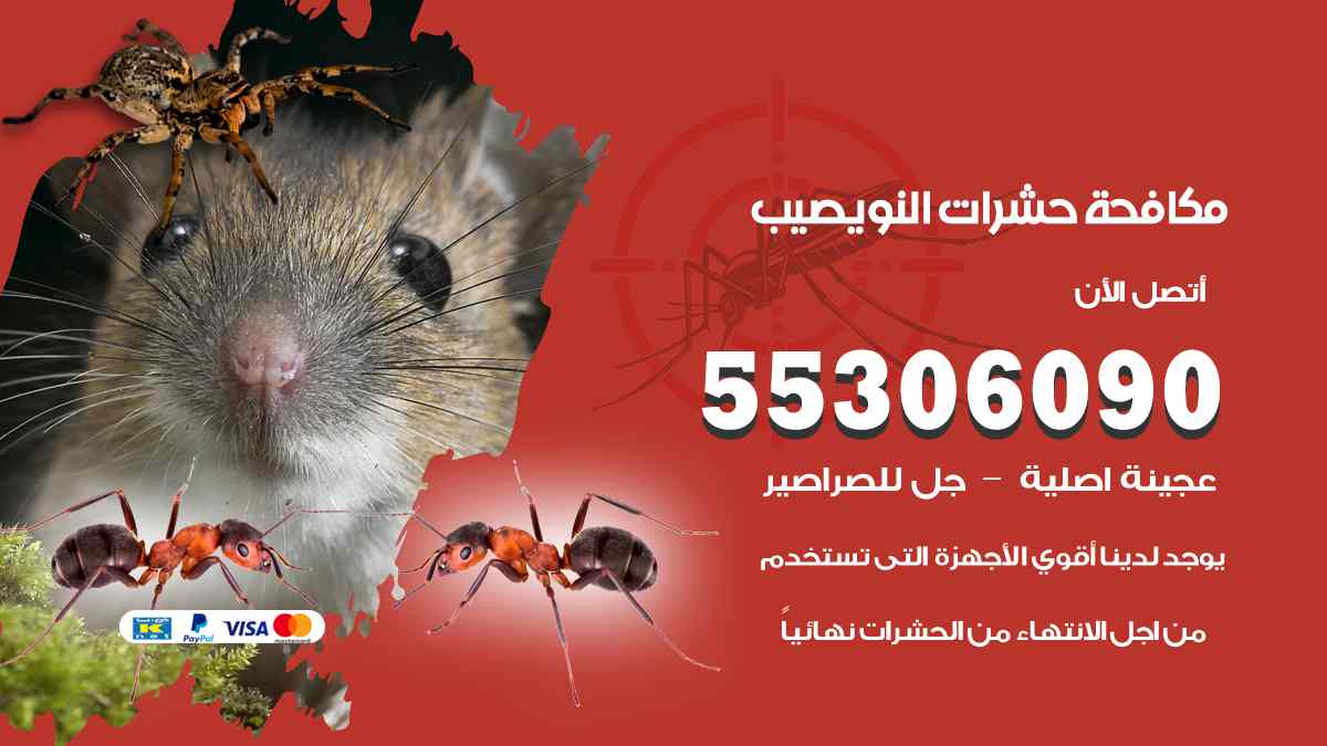 شركة مكافحة حشرات وقوارض في النويصيب