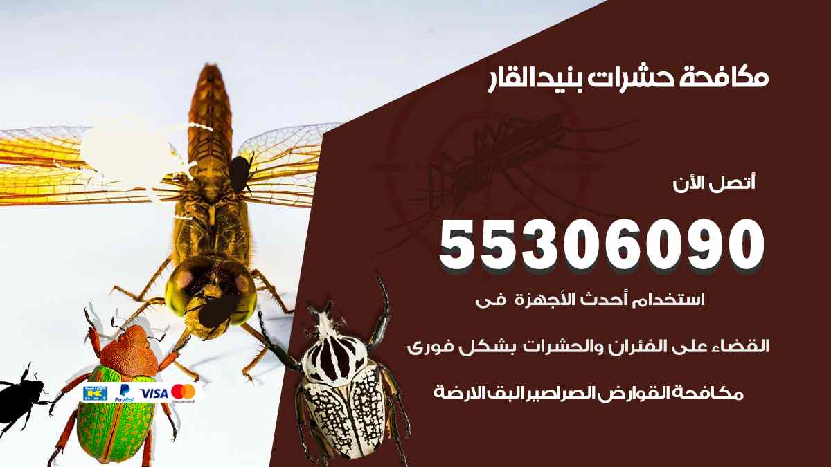 شركة مكافحة حشرات وقوارض في بنيد القار