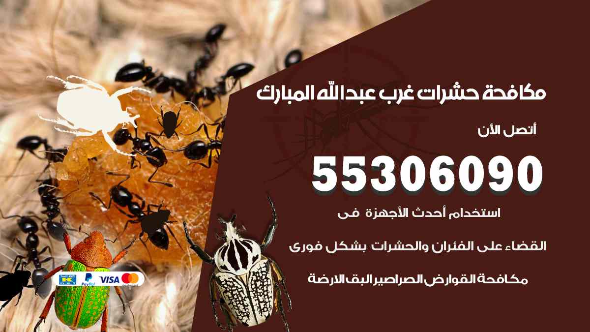شركة مكافحة حشرات وقوارض في غرب عبد الله المبارك