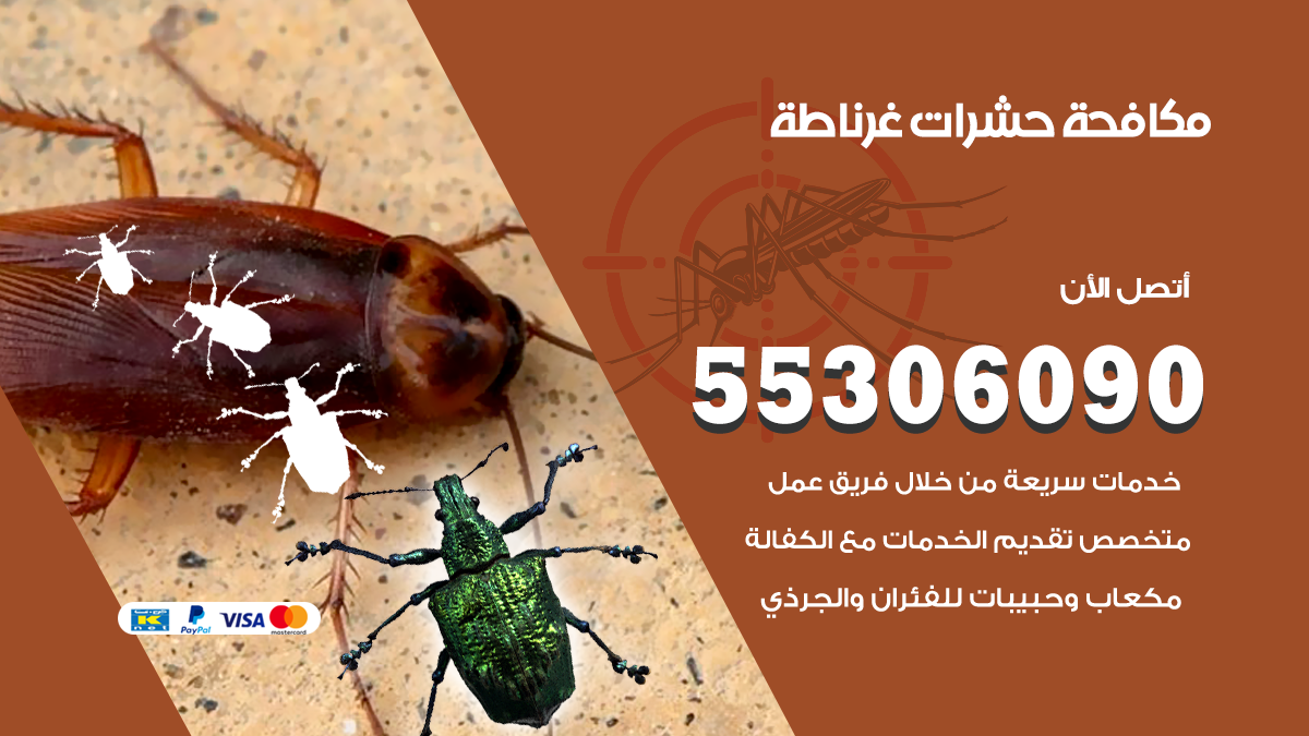 شركة مكافحة حشرات وقوارض في غرناطة