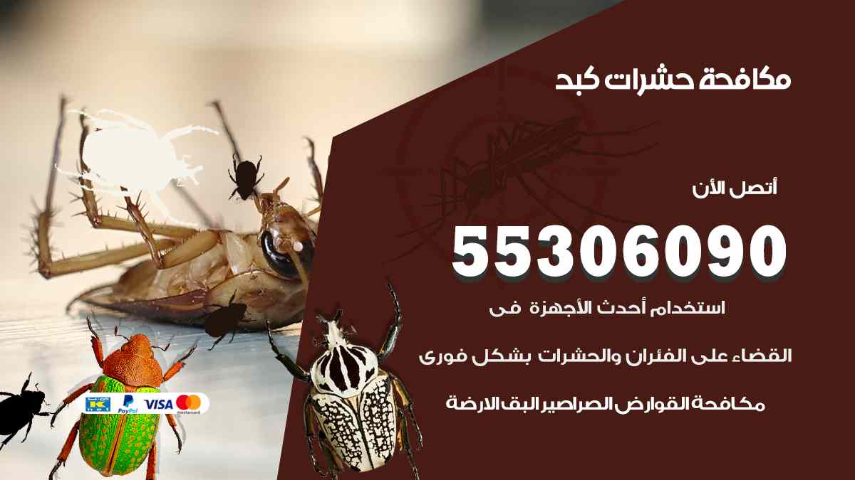 شركة مكافحة حشرات وقوارض في كبد