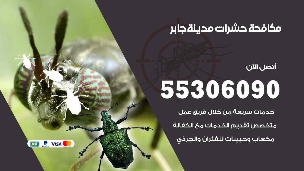 شركة مكافحة حشرات وقوارض في مدينة جابر