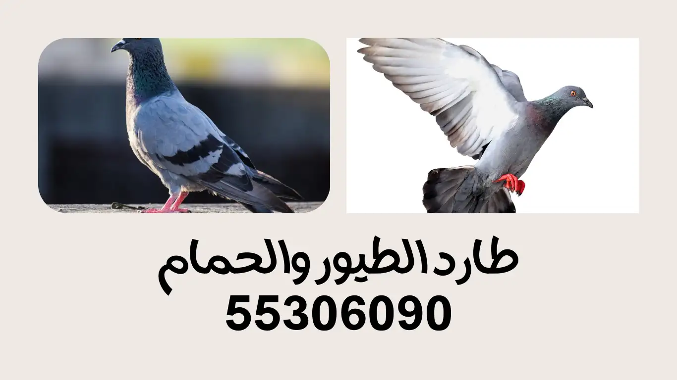 طارد الحمام والطيور بالكويت للمكيفات والنوافذ