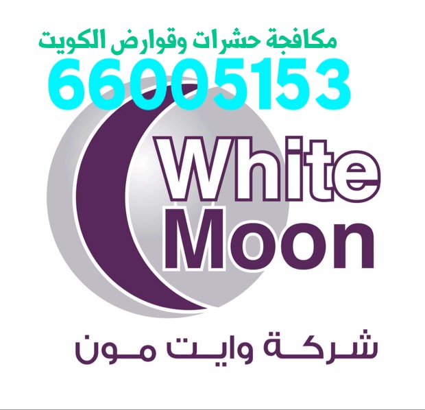 اتصل بنا