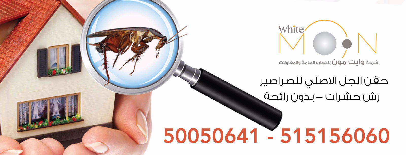 مكافحة حشرات الشركات والمكاتب في الكويت