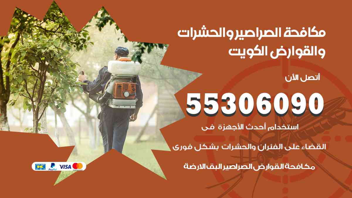 عجينة الصراصير الأصلية في الكويت