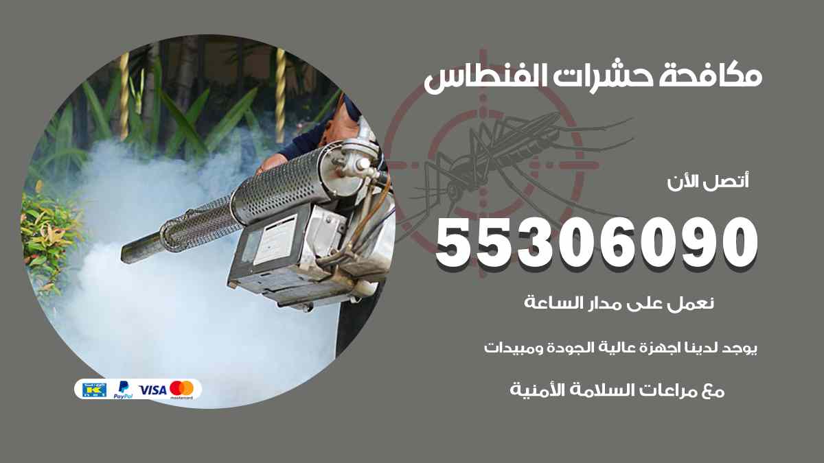 شركة مكافحة حشرات وقوارض في الفنطاس