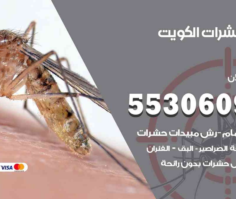 رش حشرات الكويت 55306090 مكفاحة الحشرات والقوارض