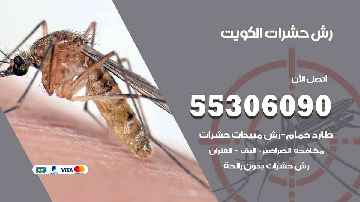 رش حشرات الكويت