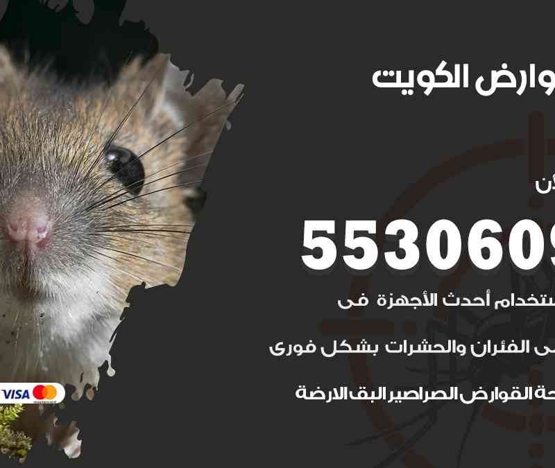 رش قوارض الكويت 55306090 مكفاحة القوارض والجرذان