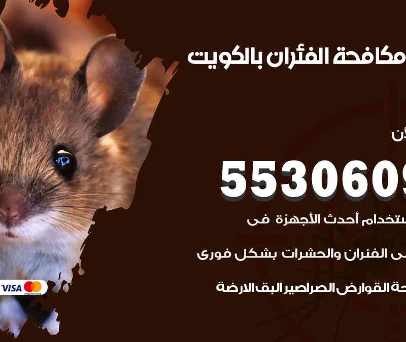 شركة مكافحة الفئران بالكويت 55306090 مكفاحة القوارض والجرذان