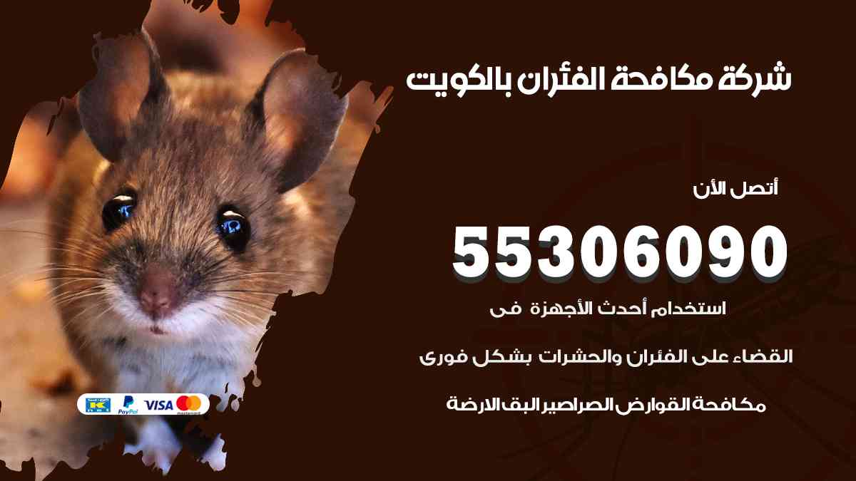 شركة مكافحة الفئران بالكويت