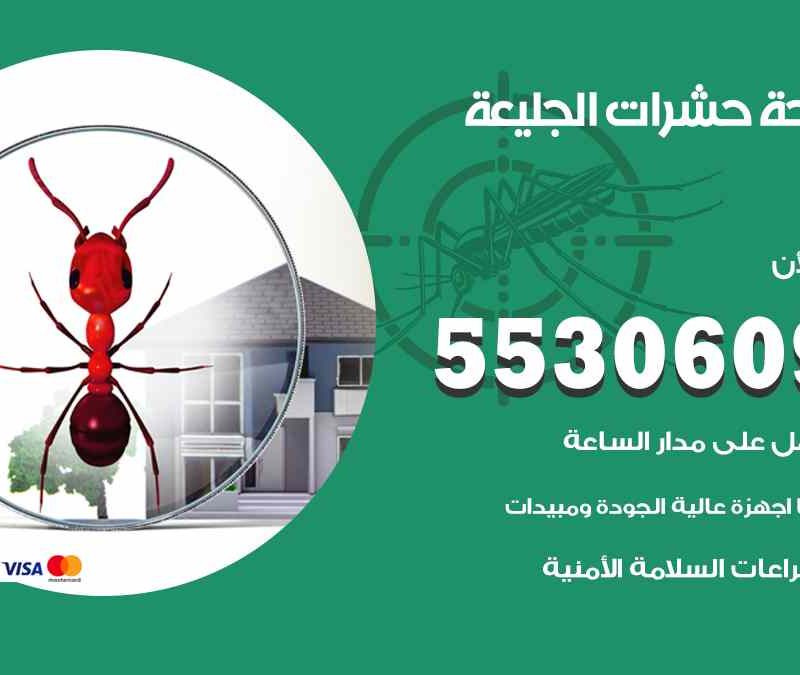 مكافحة حشرات الجليعة 55306090 شركة مكافحة و رش حشرات وقوارض