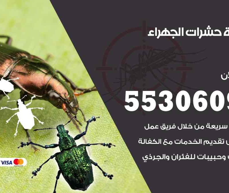مكافحة حشرات الجهراء 55306090 شركة مكافحة و رش حشرات وقوارض
