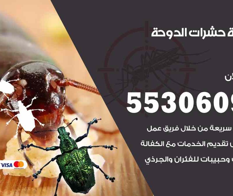 مكافحة حشرات الدوحة 55306090 شركة مكافحة و رش حشرات وقوارض