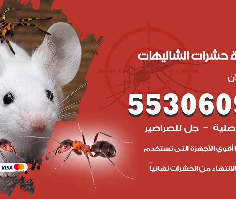مكافحة حشرات الشاليهات 55306090 شركة مكافحة و رش حشرات وقوارض