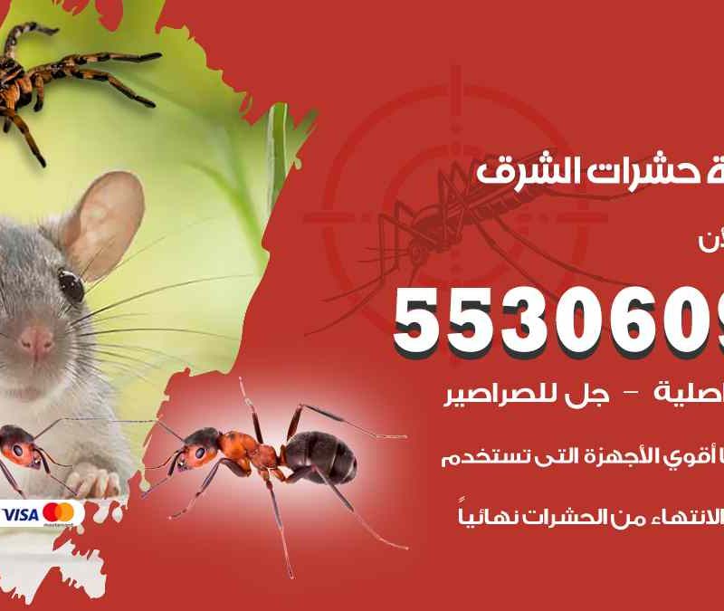 مكافحة حشرات الشرق 55306090 شركة مكافحة و رش حشرات وقوارض