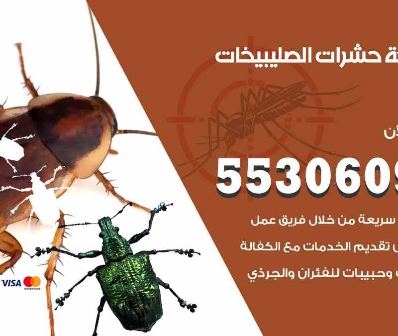مكافحة حشرات الصليبيخات 55306090 شركة مكافحة و رش حشرات وقوارض
