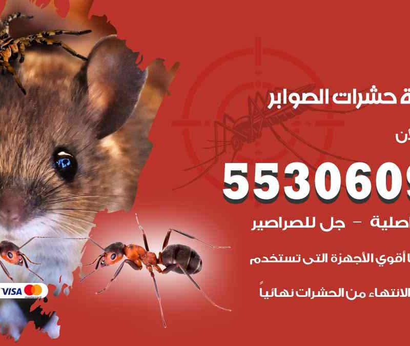 مكافحة حشرات الصوابر 55306090 شركة مكافحة و رش حشرات وقوارض