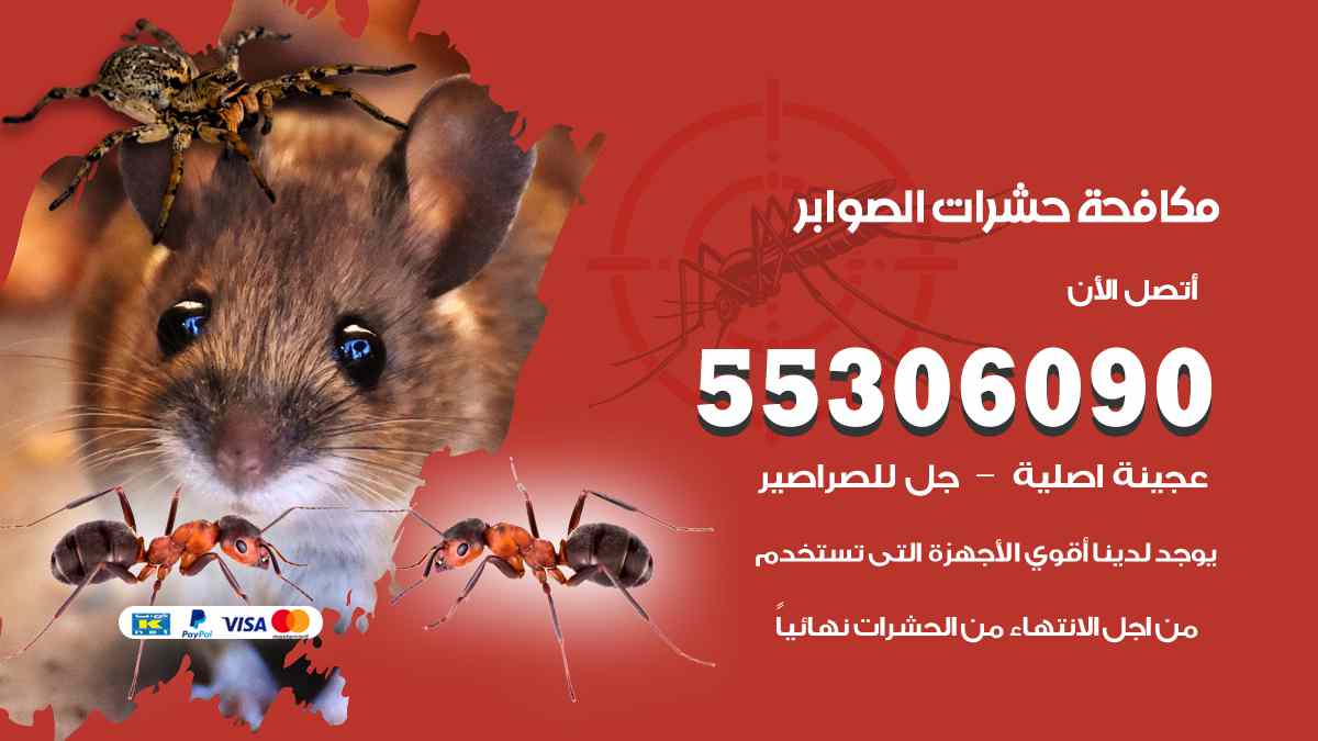 مكافحة حشرات الصوابر