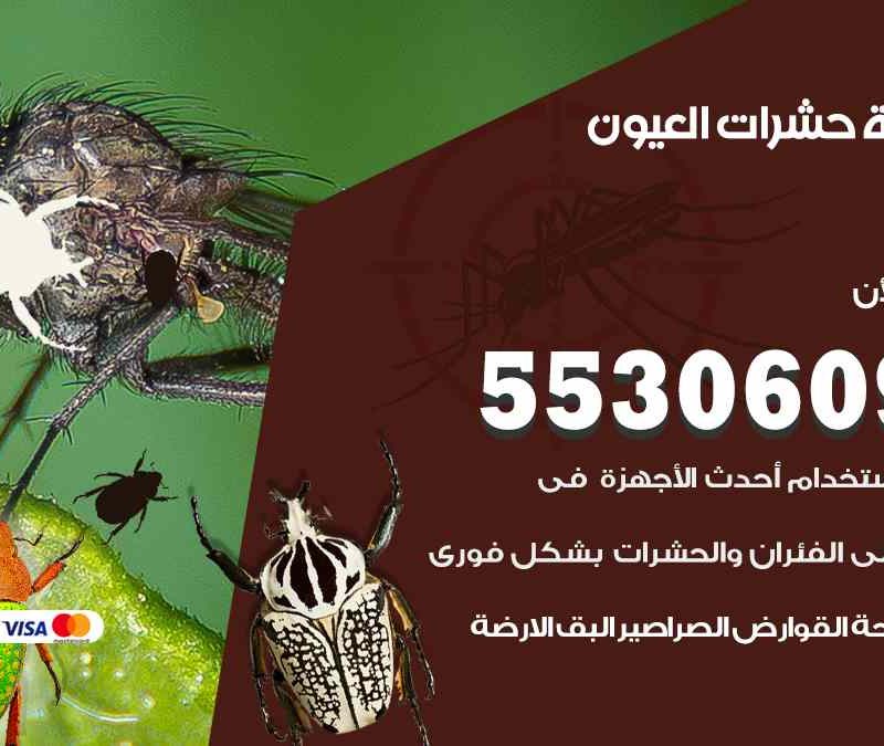 مكافحة حشرات العيون 55306090 شركة مكافحة و رش حشرات وقوارض