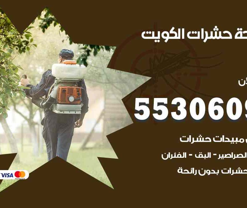 مكافحة حشرات العاصمة 55306090 شركة مكافحة و رش حشرات وقوارض