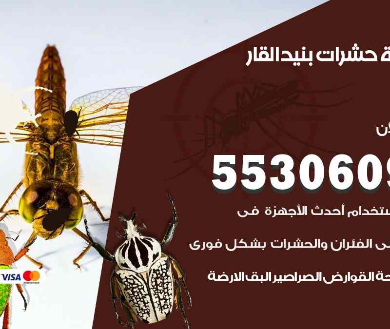 مكافحة حشرات بنيد القار 55306090 شركة مكافحة و رش حشرات وقوارض