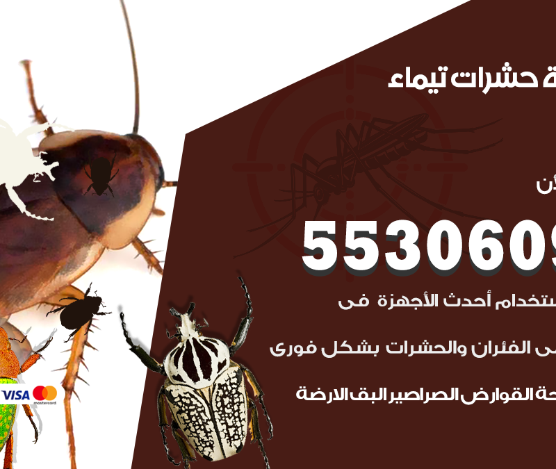 مكافحة حشرات تيماء 55306090 شركة مكافحة و رش حشرات وقوارض