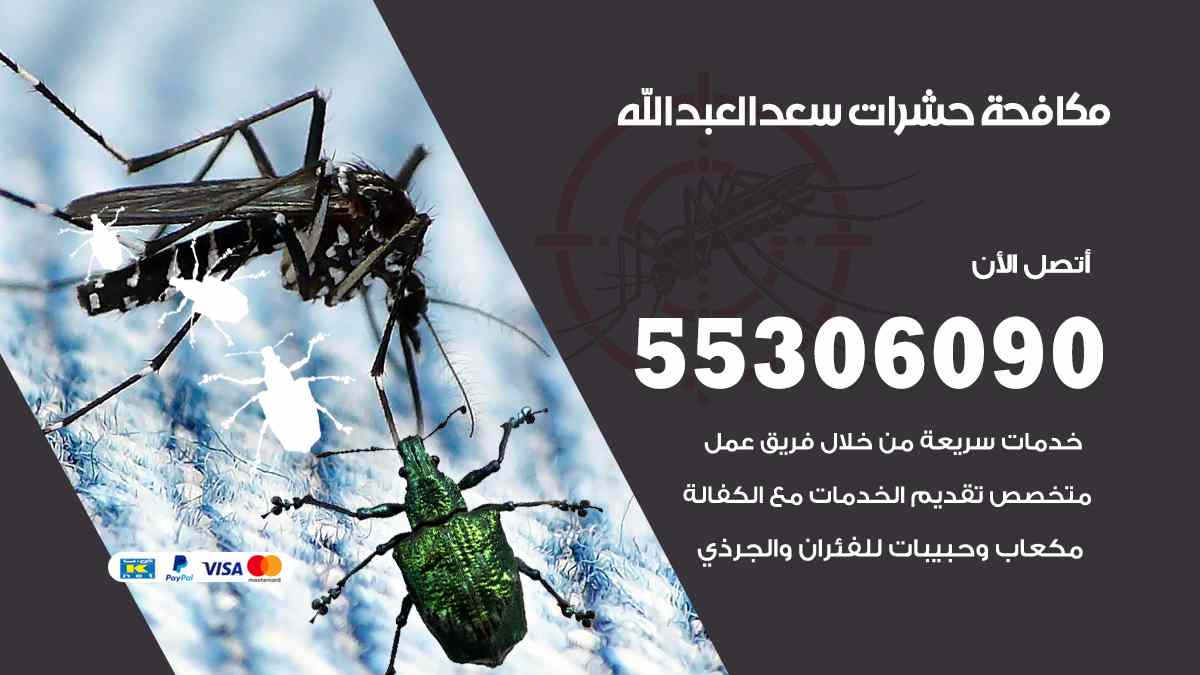 مكافحة حشرات سعد العبد الله