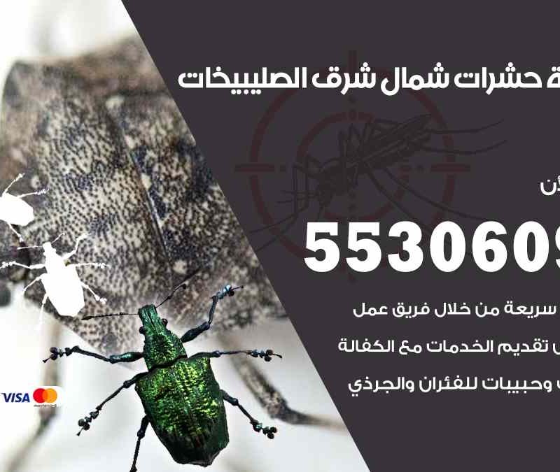 مكافحة حشرات شمال شرق الصليبيخات 55306090 شركة مكافحة و رش حشرات وقوارض