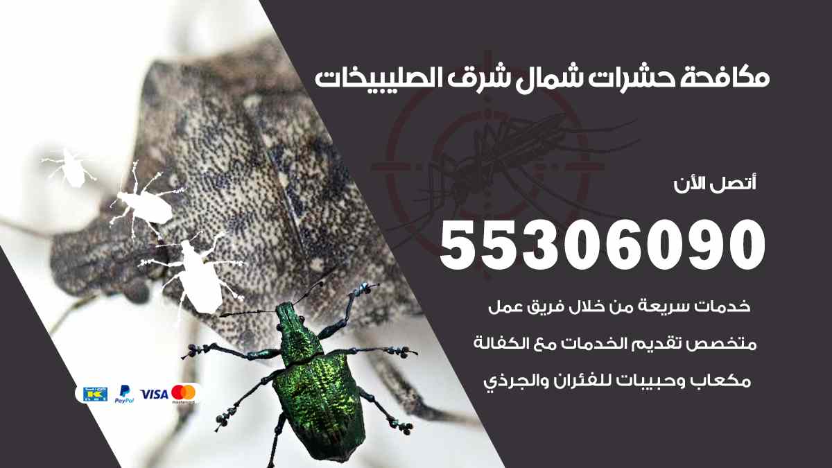 مكافحة حشرات شمال شرق الصليبيخات