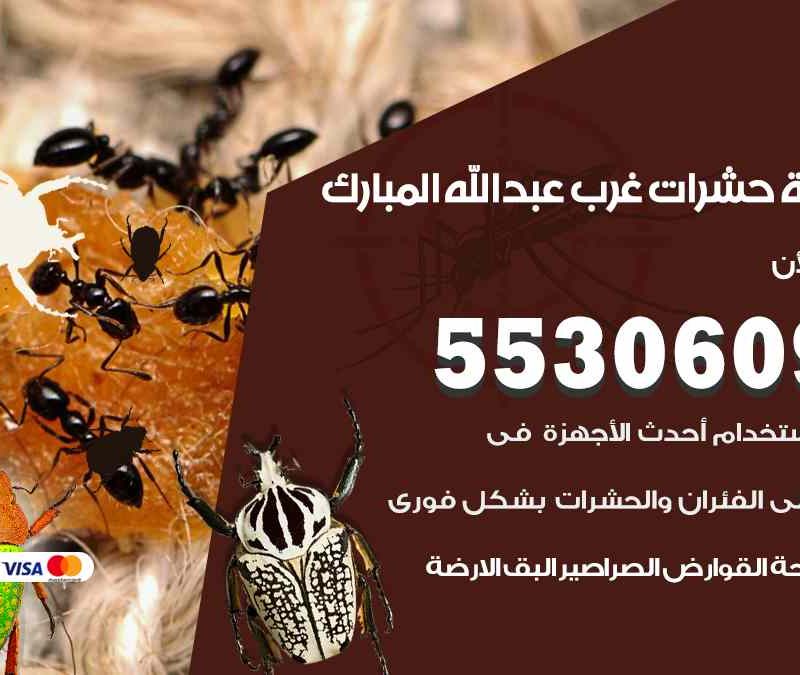 مكافحة حشرات غرب عبد الله المبارك 55306090 شركة مكافحة و رش حشرات وقوارض