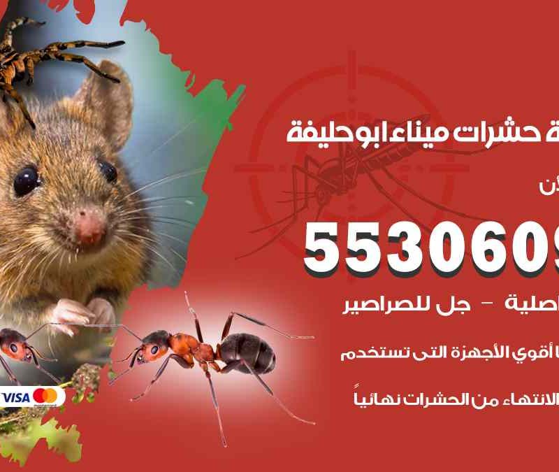 مكافحة حشرات ميناء ابو حليفة 55306090 شركة مكافحة و رش حشرات وقوارض