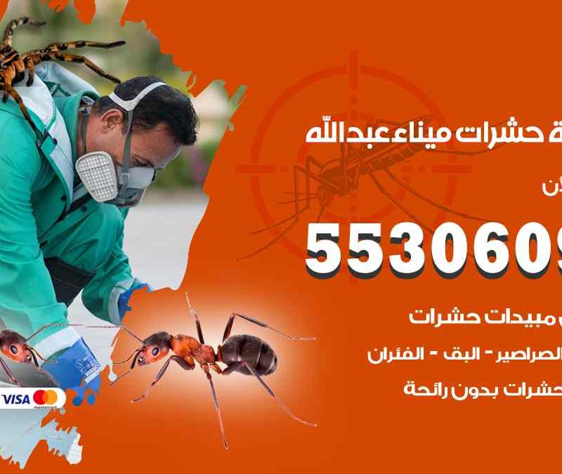 مكافحة حشرات ميناء عبد الله 55306090 شركة مكافحة و رش حشرات وقوارض